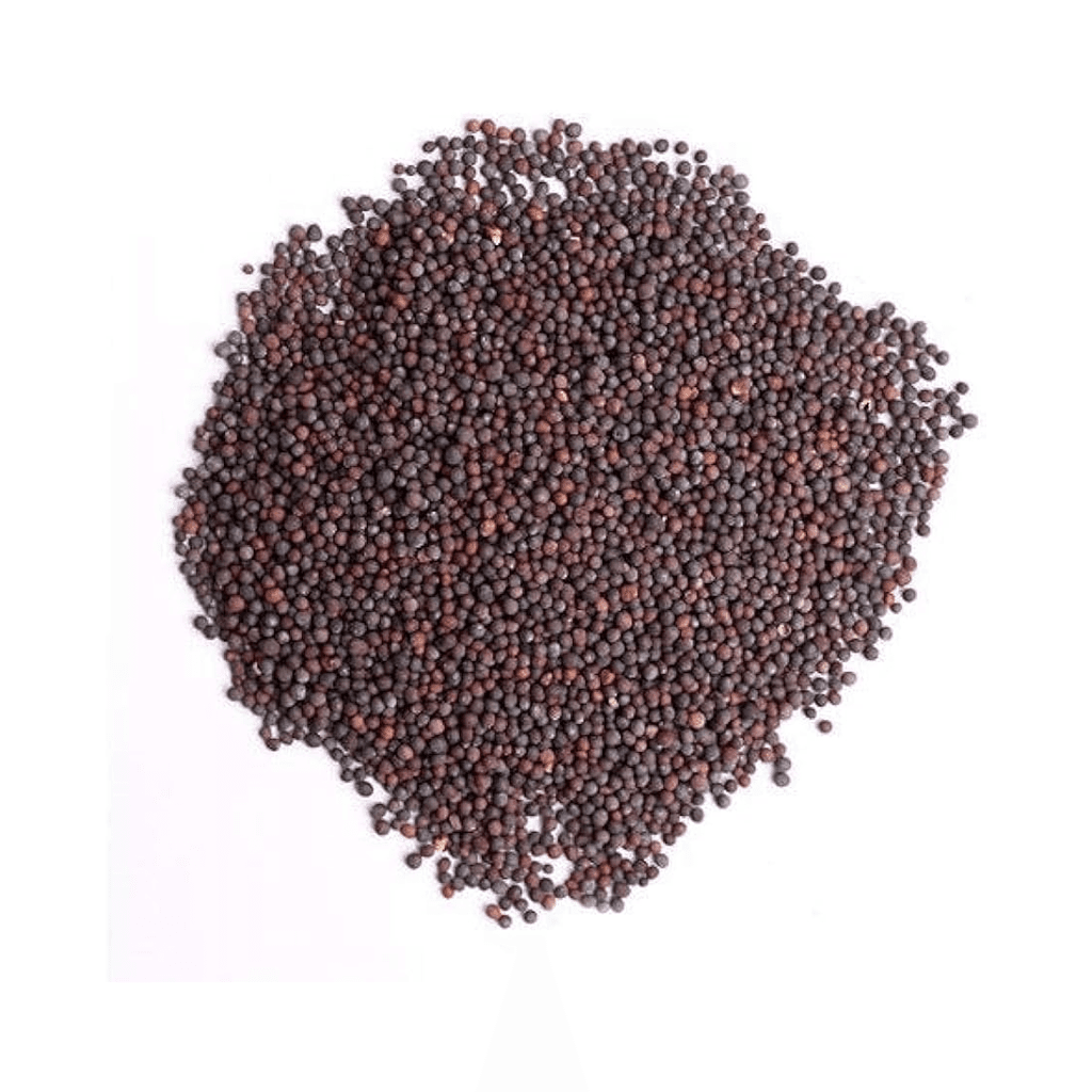 SMALL MUSTARD