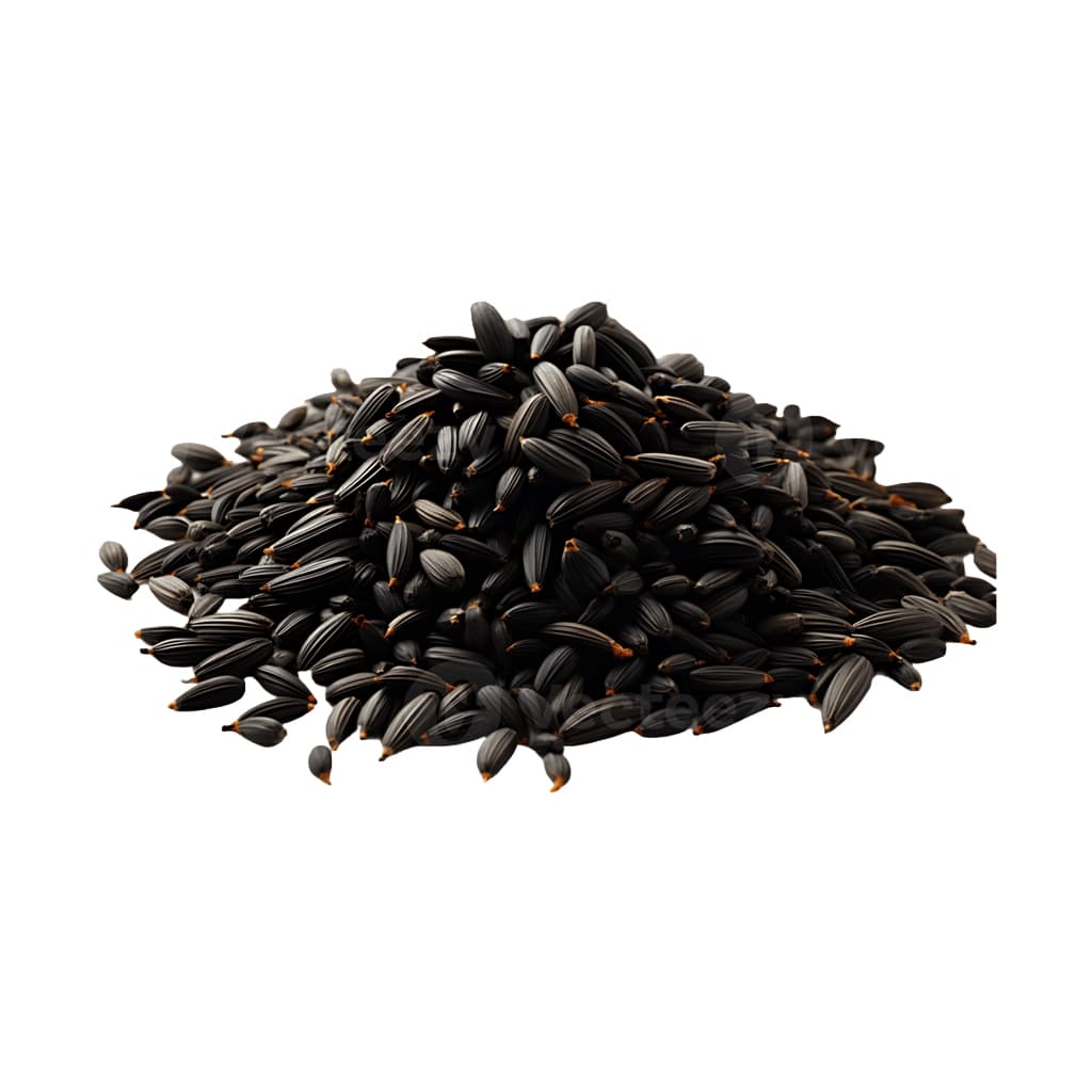BLACK CUMIN
