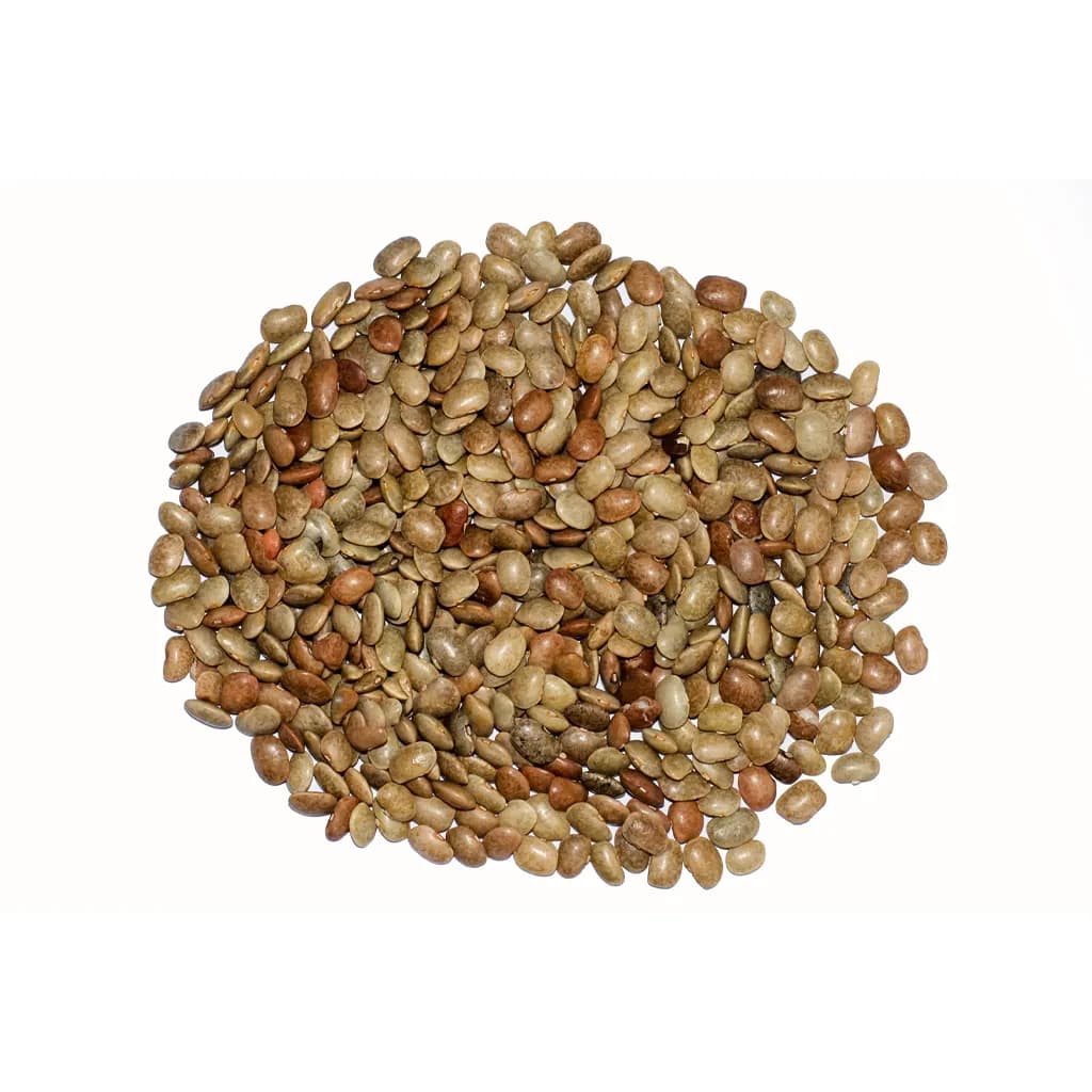 LOOSE HORSE GRAM