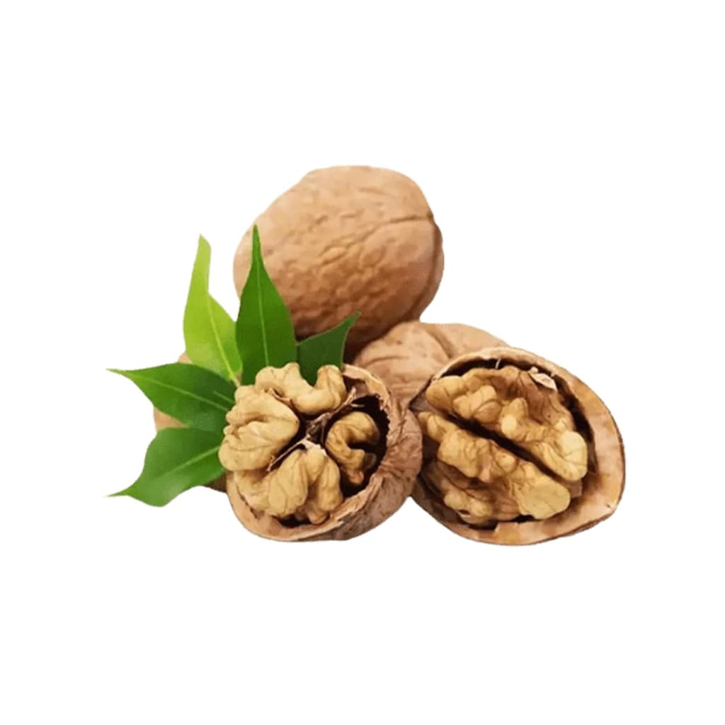 WALNUT