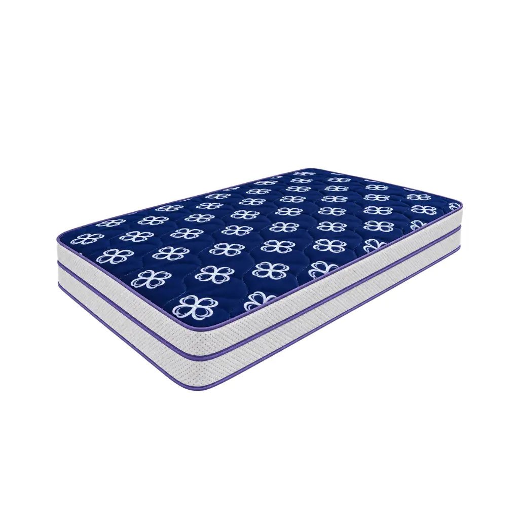 PICASSO BACK SUPPORT QUEEN MATTRESS