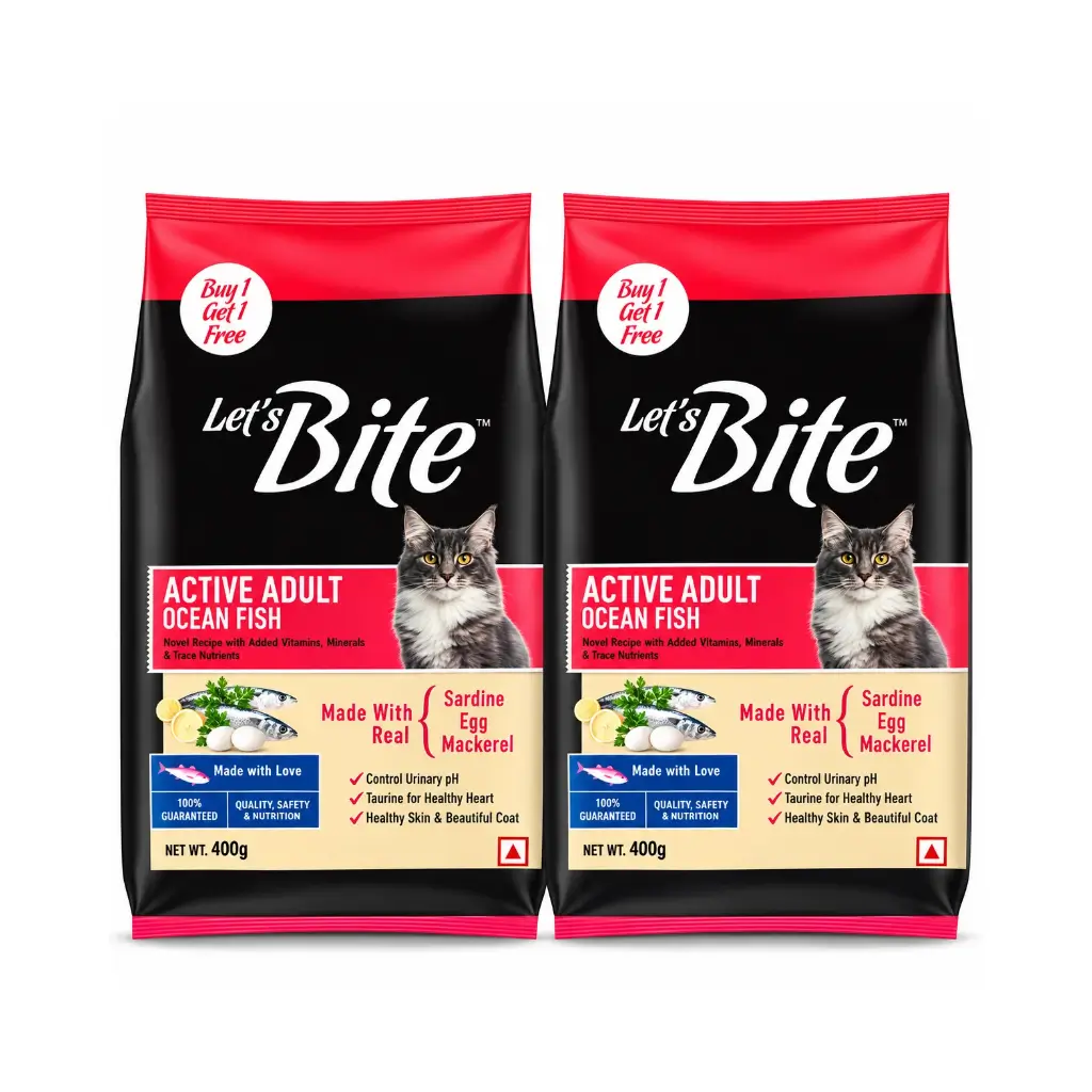 LETS BITE ACTIVE ADULT OCEAN FISH BUY 1 GET 1 400 G
