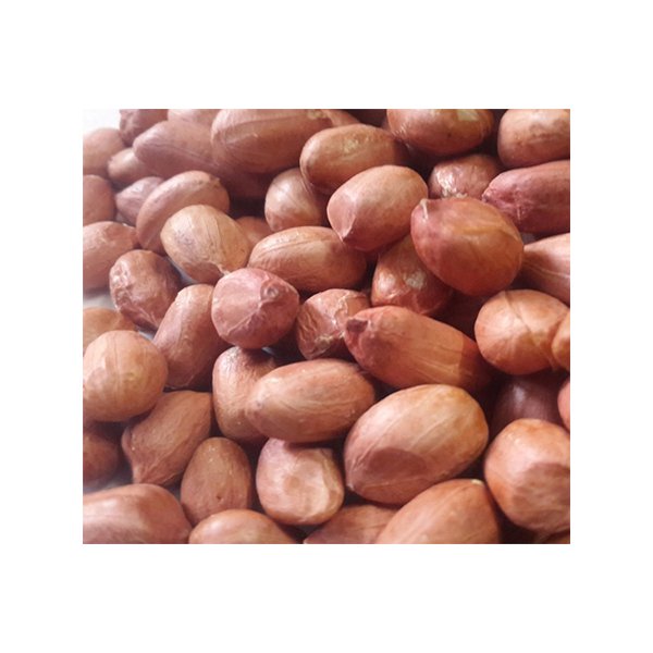 GROUND NUT