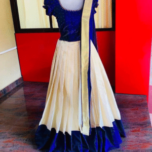 Gold/silver Tissue Dhavani set with handwork design