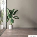 77fcf215-0cbe-47af-a26f-9f932d3ffec1630