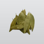 bay-leaf 1
