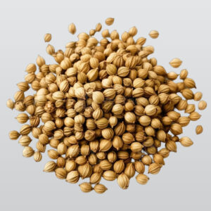 CORRIANDER SEEDS